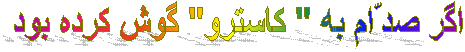 اگر صدّام به " کاسترو" گوش کرده بود