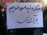 16azar1_480360.jpg