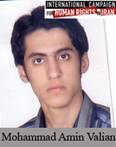 Mohammad_Amin_Valian.jpg