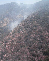 atashsoutzi.dar-zagros1.jpg