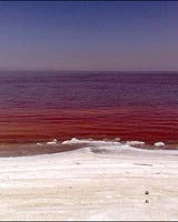 daryache-urmie-b.jpg