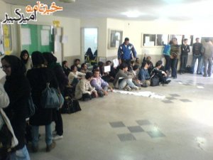 krmnh163_0.JPG