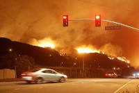 new/atashsouzi-kalifornia1.jpg