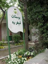 new/bustane-gheytarie.jpg
