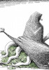 new/dowlate-raisi_neystani_karitature1.jpg