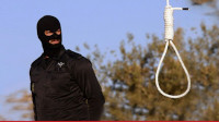 new/edam-dar-iran1.jpg