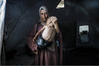 new/gresnegi-dar-gaza1.jpg