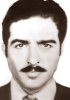 new/hamid-ashraf006.jpg