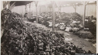 new/holocaust1.jpg