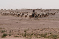 new/isreil-dar-iraq1.jpg