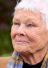 new/judi-densh1.jpg