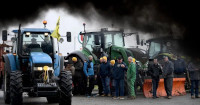 new/kashavarzan-france01.jpg