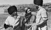 new/kashavarzi-turkmanha1.jpg
