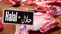 new/mohre-halal1.jpg
