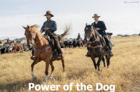 new/power-of-the-dog1.jpg