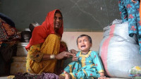 new/seil-dar-pakistan1.jpg