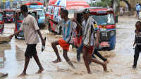 new/somali-gosikhte1.jpg