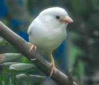 new/tanha-dar-tabeid.jpg