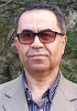 reza-alijani1.jpg