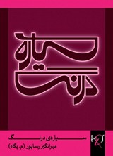 sayyare-derang-s.jpg