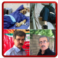 shahbi-salehi.jpg