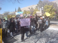 tajamoo-shiraz.jpg