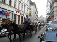 wien280809-s.jpg
