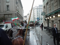 wien_19_s_4_08_09.jpg